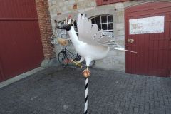 Vogelwegbringen-2016_1116