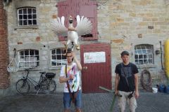 Vogelwegbringen-2016_1120