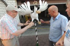 Vogelwegbringen-2016_1161