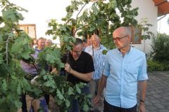 Fahnenwegbringen-2017_10252