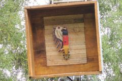 Jungschuetzenschiessen_2017_10158