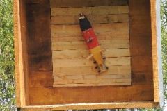 Jungschuetzenschiessen_2017_10183