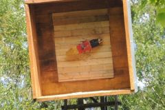 Jungschuetzenschiessen_2017_10207