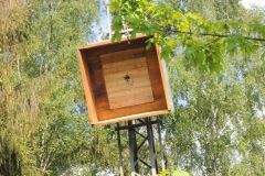 Jungschuetzenschiessen_2017_10232