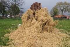 Osterfeuer-2017_10105