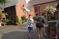 Vogelwegbringen-2017_10124