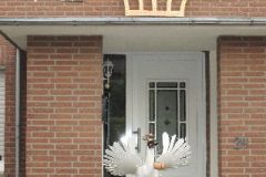 Vogelwegbringen-2017_10189