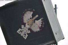 2017_DSC_0054