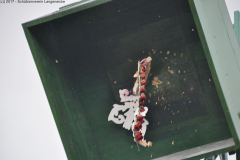 2017_DSC_0079