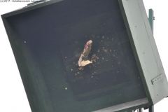 2017_DSC_0092