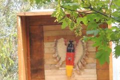 Jungschuetzenschiessen_2018_10238