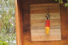 Jungschuetzenschiessen_2018_10258