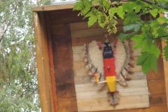 Jungschutzenschiessen-2018_10223