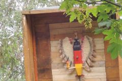 Jungschutzenschiessen-2018_10224