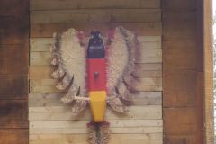 Jungschutzenschiessen-2018_10232