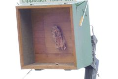 Kreisschutzenfestl-2018_10167