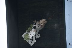 Schuetzenfestmontag_2018_10546