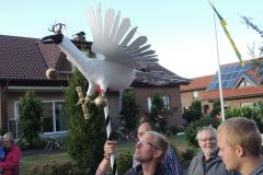 Vogelwegbringen-2018_10155