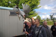 Vogelwegbringen-2018_10161