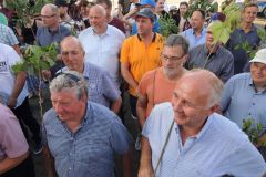 Fahnenwegbringen_2019_10260