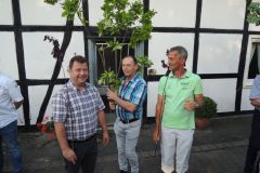 Fahnenwegbringen_2019_10270