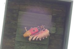 Jungschuetzenschiessen-2019_10257