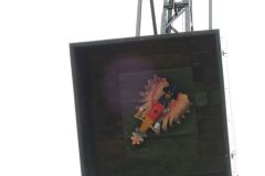 Jungschutzenschiessen-2019_10174