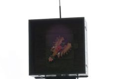 Jungschutzenschiessen-2019_10175