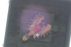 Jungschutzenschiessen-2019_10190