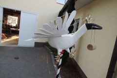 Vogelmachen-2019_10101