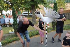 Vogelmachen-2019_10111