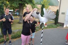 Vogelmachen-2019_10122