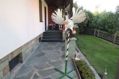 Vogelwegbringen-2019_10121