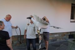 Vogelwegbringen-2019_10152