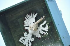 Vogelschiessen-2019_10221