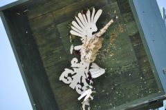 Vogelschiessen_2019_10309