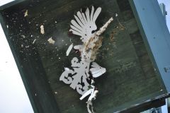 Vogelschiessen_2019_10313