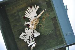 Vogelschiessen_2019_10317