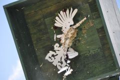 Vogelschiessen_2019_10328