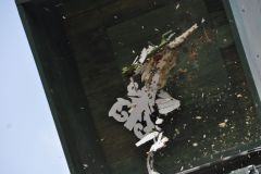 Vogelschiessen_2019_10333