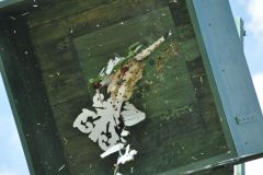 Vogelschiessen_2019_10336