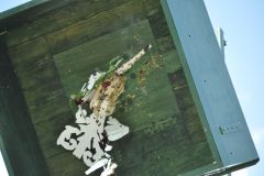 Vogelschiessen_2019_10338