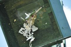 Vogelschiessen_2019_10340