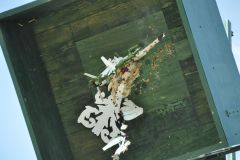 Vogelschiessen_2019_10342