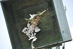 Vogelschiessen_2019_10347