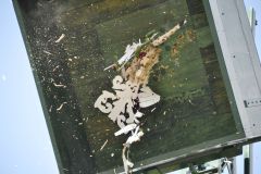 Vogelschiessen_2019_10353