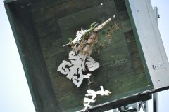 Vogelschiessen_2019_10357