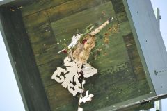 Vogelschiessen_2019_10359