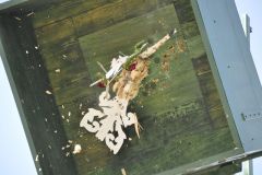 Vogelschiessen_2019_10362