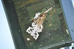 Vogelschiessen_2019_10365